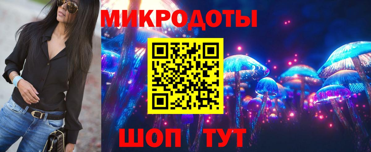 Кострома  Галлюциногенные грибы Cubensis  Вход с VPN 