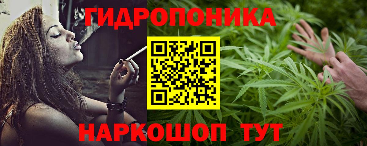 Каннабис White Widow  Вход с VPN  Бошки Шишки планчик  Кострома  Конопля тримм 